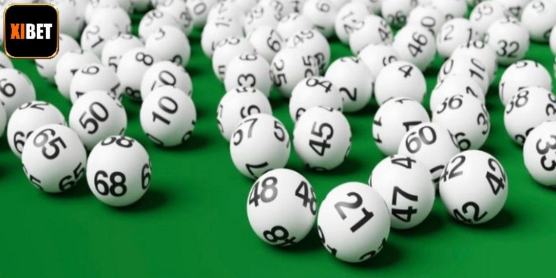 Bạch Thủ Lô Kép Là Gì? Hướng Dẫn Soi Cầu Hiệu Cho Newbie