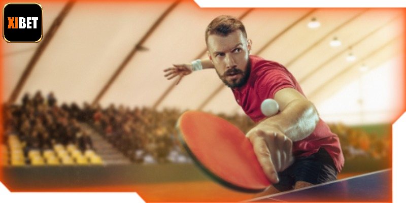 Điểm qua các loại kèo bóng bàn thông dụng hiện nay