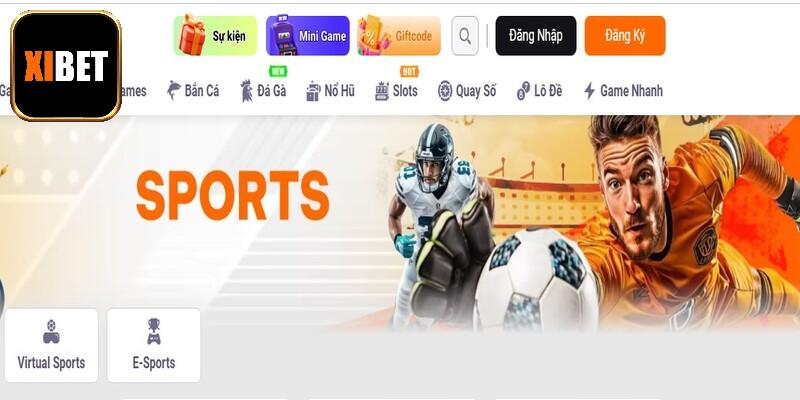 Giới thiệu đôi nét thông tin về chuyên mục thể thao Xibet