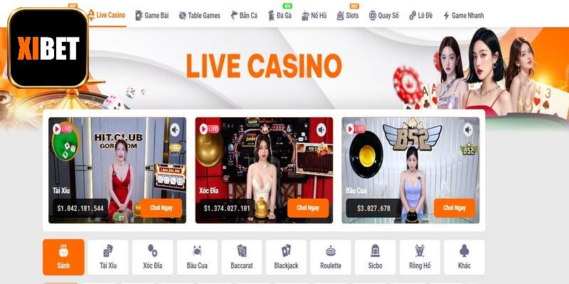 Giới thiệu khái quát qua thông tin về nhà cái Xibet