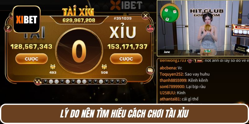 Lý do nên tìm hiểu cách chơi tài xỉu