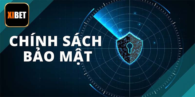 Quyền lợi và nghĩa vụ quan trọng về phía người chơi