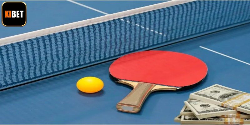 Tổng quan sơ lược về cá cược bóng bàn