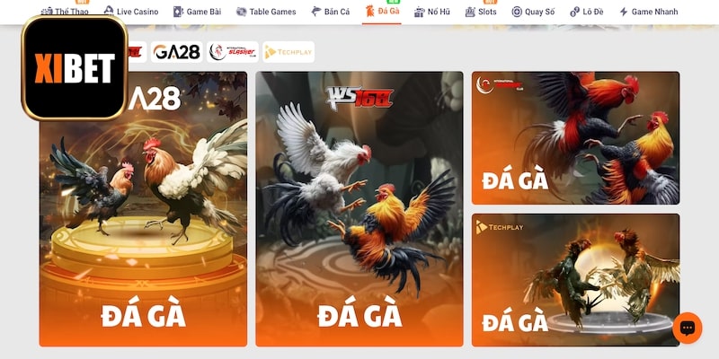 Đặt cược đá gà không giới hạn tại Xibet